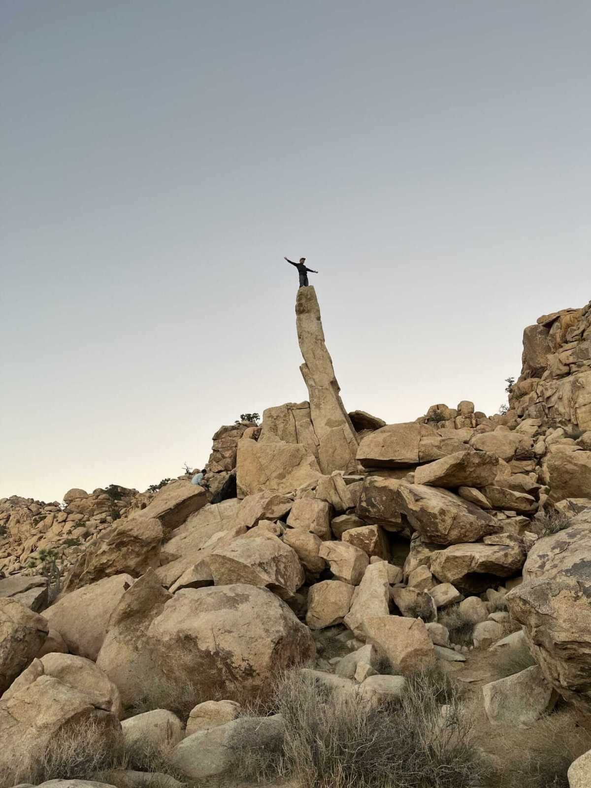 Discover Joshua Tree’s Night Sky Through Guided Tours Joshua Tree Lizard Rock Climbing Tours