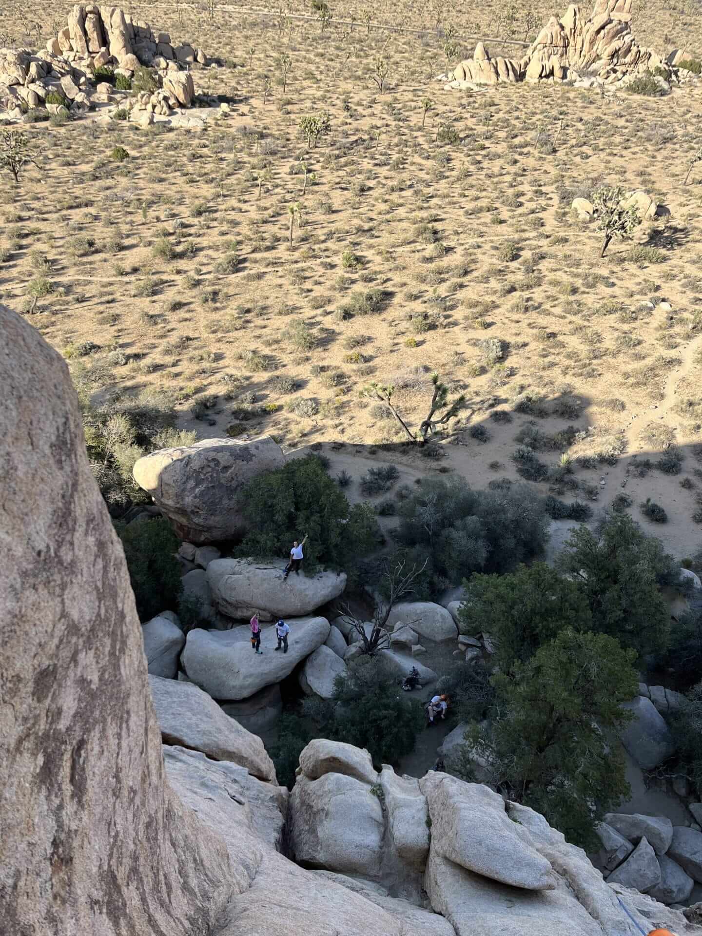 Why Choose BeginnerFriendly Rock Climbing Tours Joshua Tree Lizard Rock Climbing Tours and