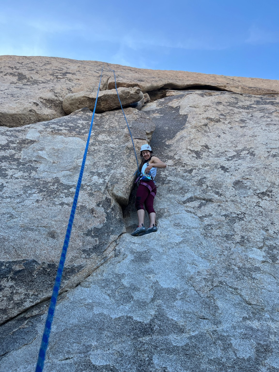 Rock Climbing Tours and Courses in Joshua Tree Tree Lizard