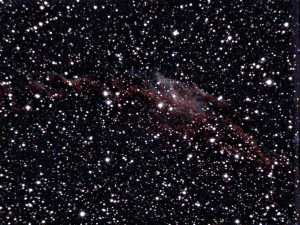 eVscope 20231020 032955