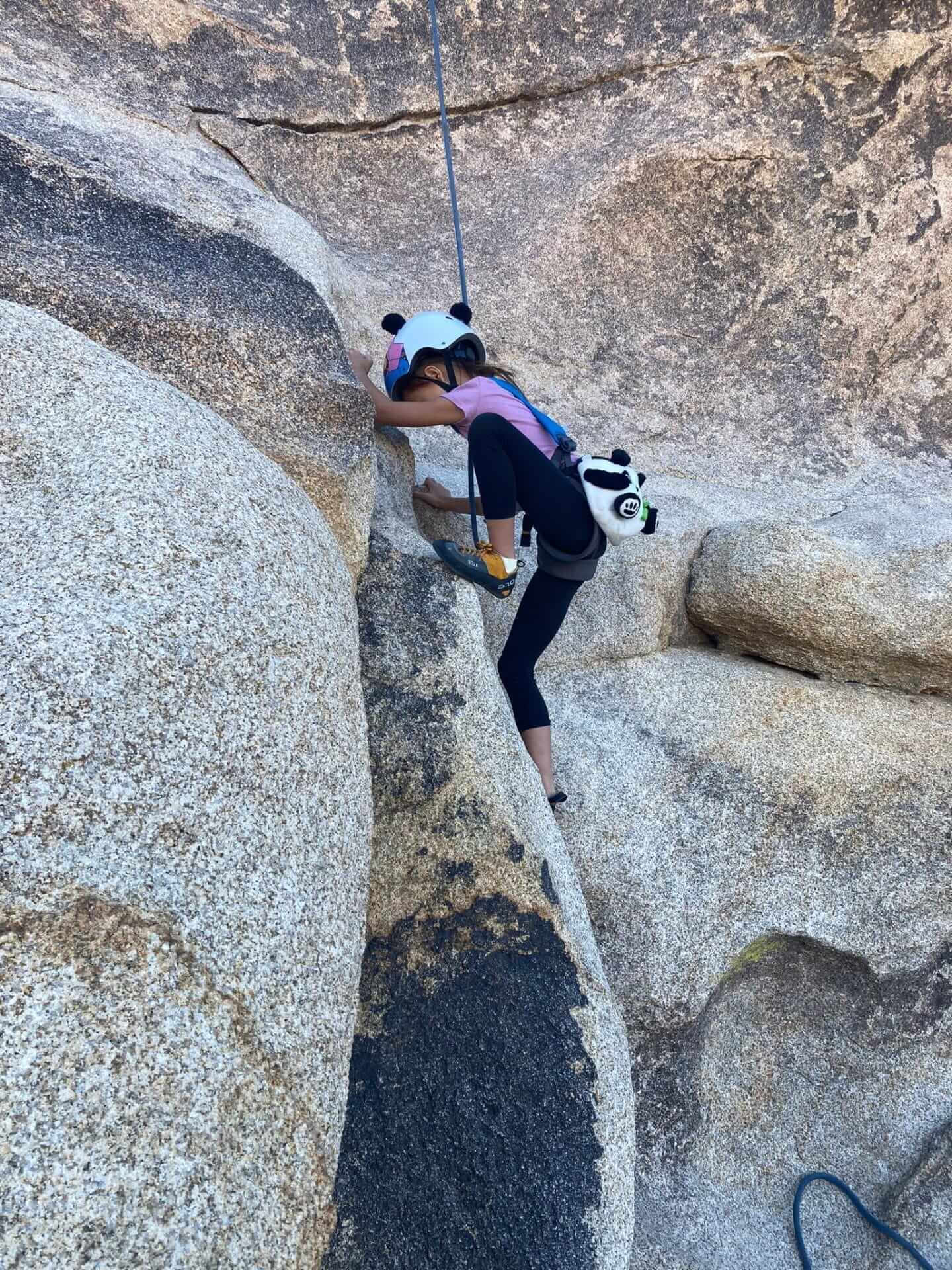 Kids an dFamily Rock Climbing Tour