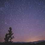 stars during the night