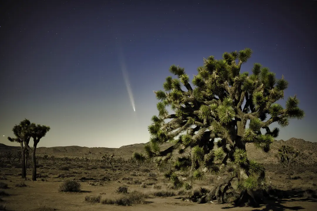 top hikes in joshua tree