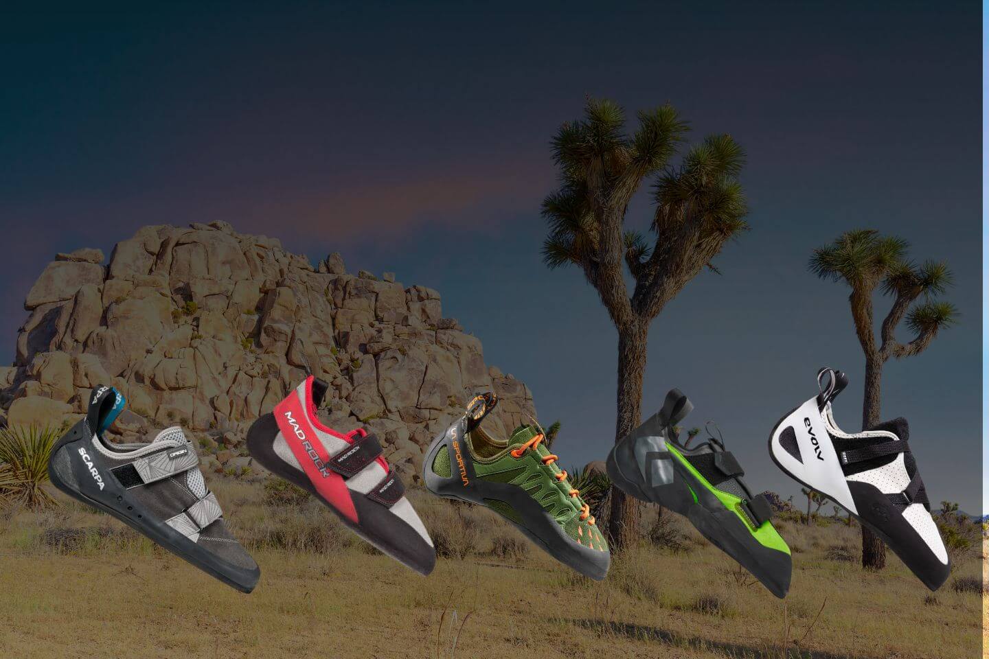 rock climbing shoes for beginners