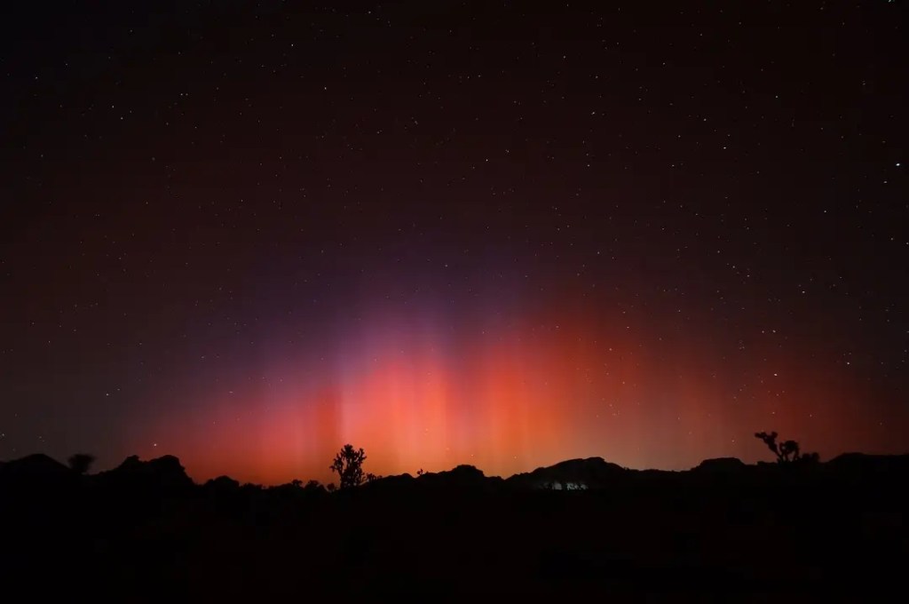 best time for stargazing tour