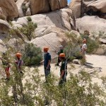 group tour rock climbing